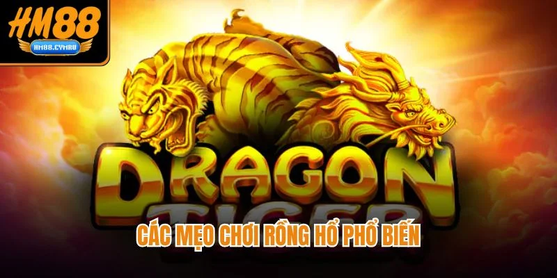 Mẹo Chơi Rồng Hổ - Tăng Tỷ Lệ Thắng Ở Nhà Cái HM88 Các mẹo chơi rồng hổ phổ biến