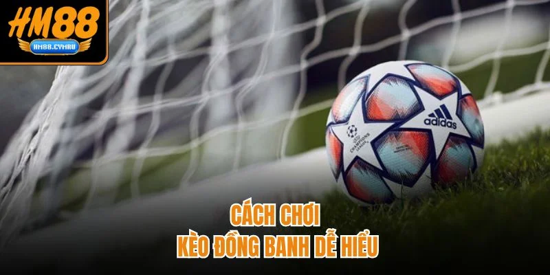 Hướng Dẫn Bắt Kèo Đồng Banh HM88 Chuẩn Xác Không Lệch Kèo Cách chơi kèo đồng banh dễ hiểu