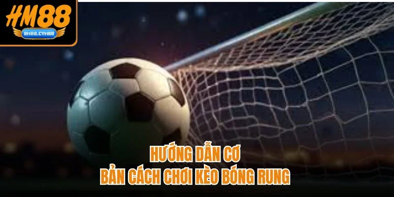 Cách Chơi Kèo Bóng Rung Chuẩn Xác Trên Nền Tảng HM88 Hướng dẫn cơ bản cách chơi kèo bóng rung