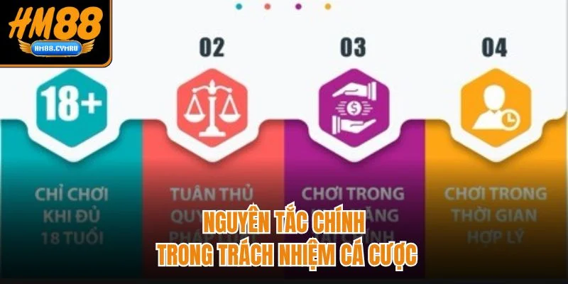 Nguyên tắc chính trong trách nhiệm cá cược